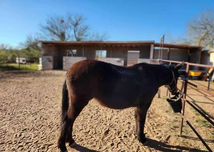 Holiday home Desert Ranch 3 Bedroom + Equine Facility