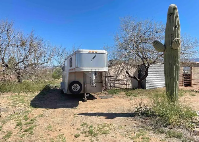 Desert Ranch 3 Bedroom + Equine Facility * Vail